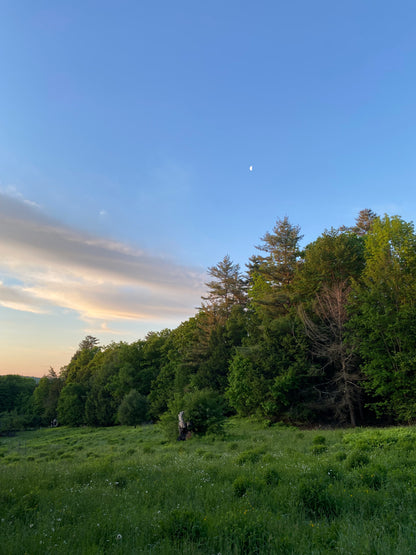 Hobbit Land Photography Cards