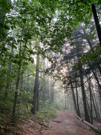 Hobbit Land Photography Cards